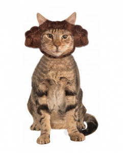 chapeau princesse leia pour chat