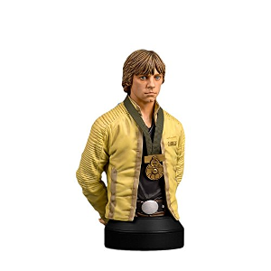 Mini buste de Luke Skywalker