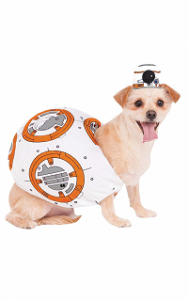 Costume BB8 pour chien